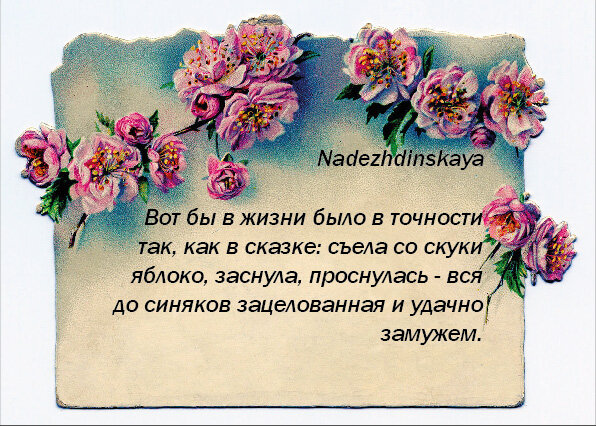 Текст и коллаж автора