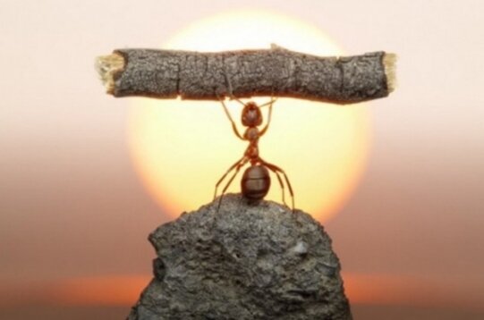 Энергетический прогноз на 4 декабря