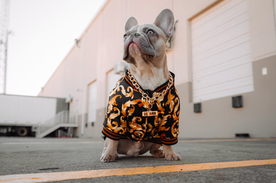 Фото: unsplash / Karsten Winegeart 