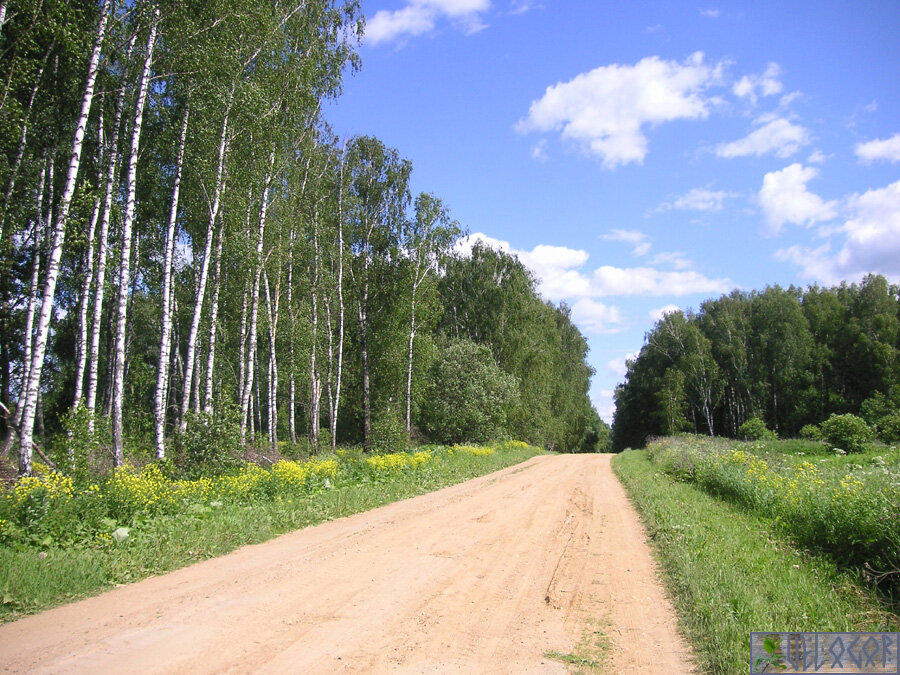 Дорога в Ленское
