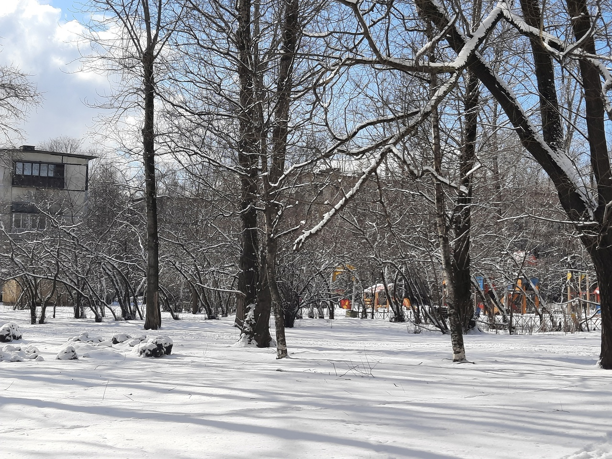 Погода вопреки прогноза была замечательная. Г зима. Снегопад в Москве. Зимние осадки. Зима февраль снегопад.