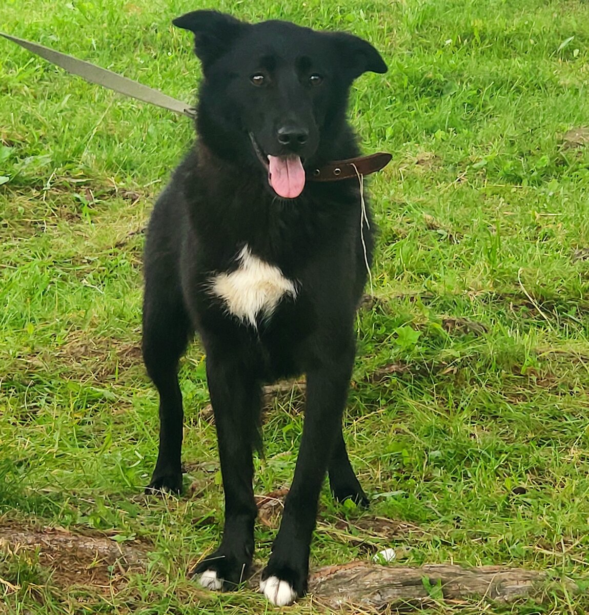 Убедитесь  сами, друзья. 