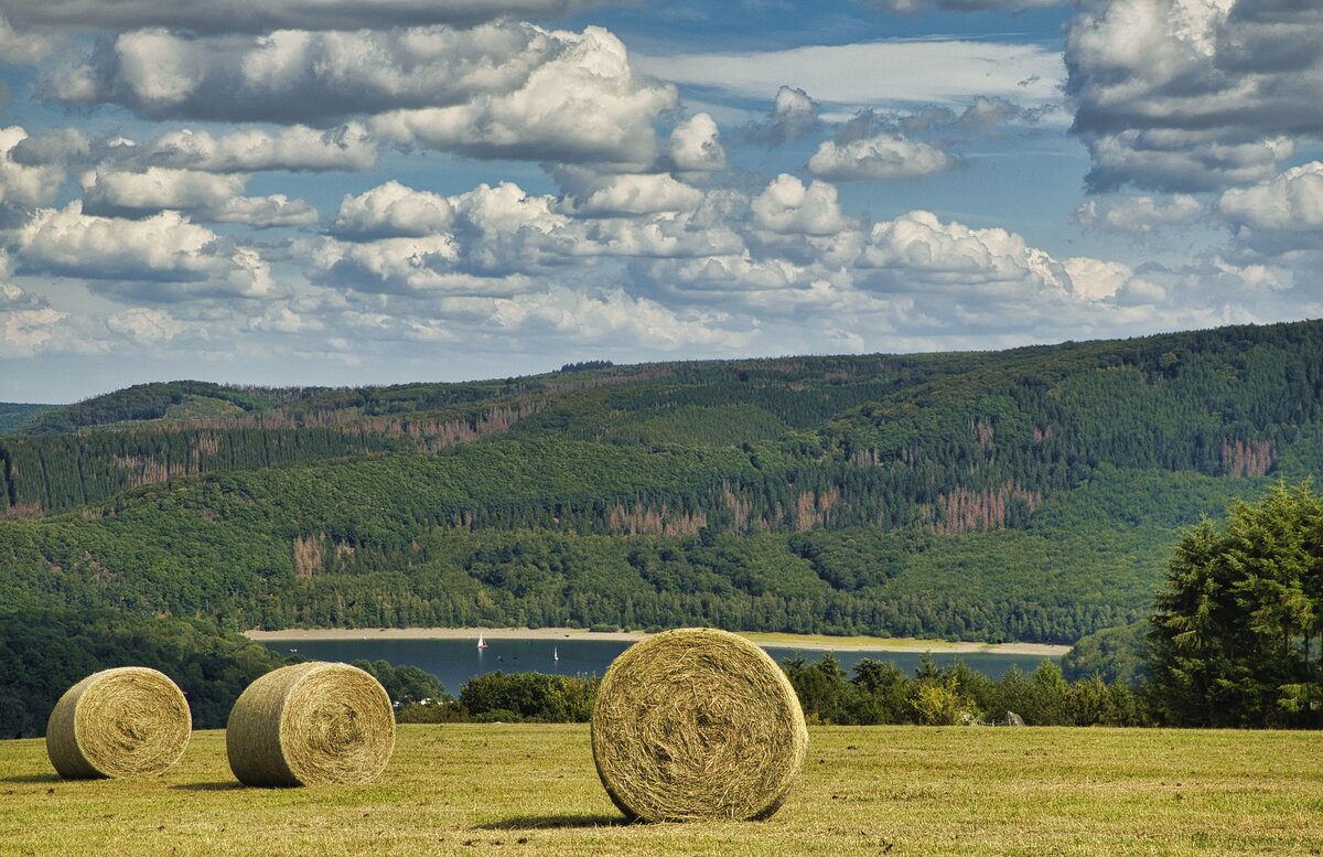 . https://www.flickr.com/