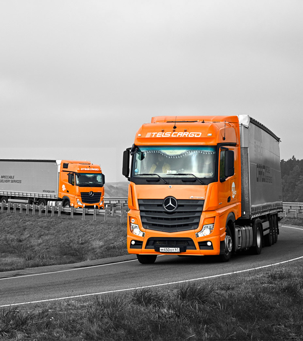 Автомобили TELS CARGO