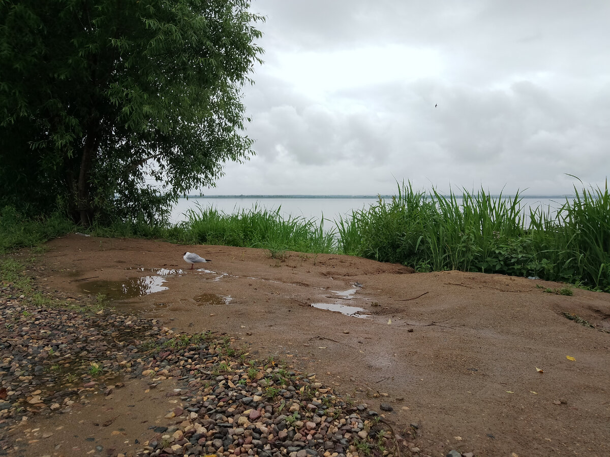 Её мы сразу заметили