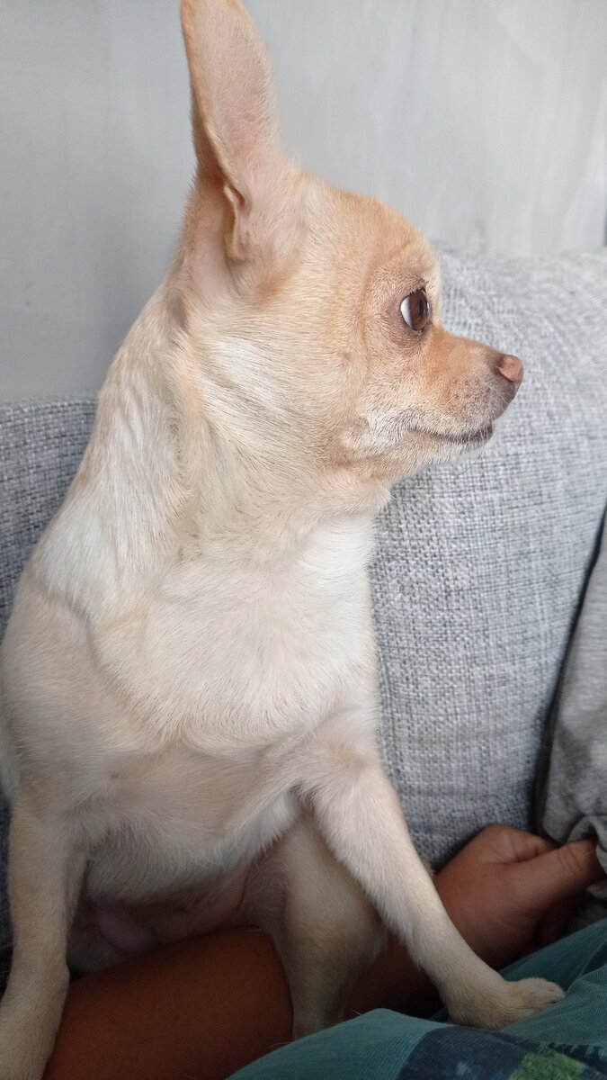 Санюшенька