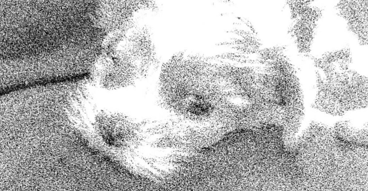 История спасения, добра и любви