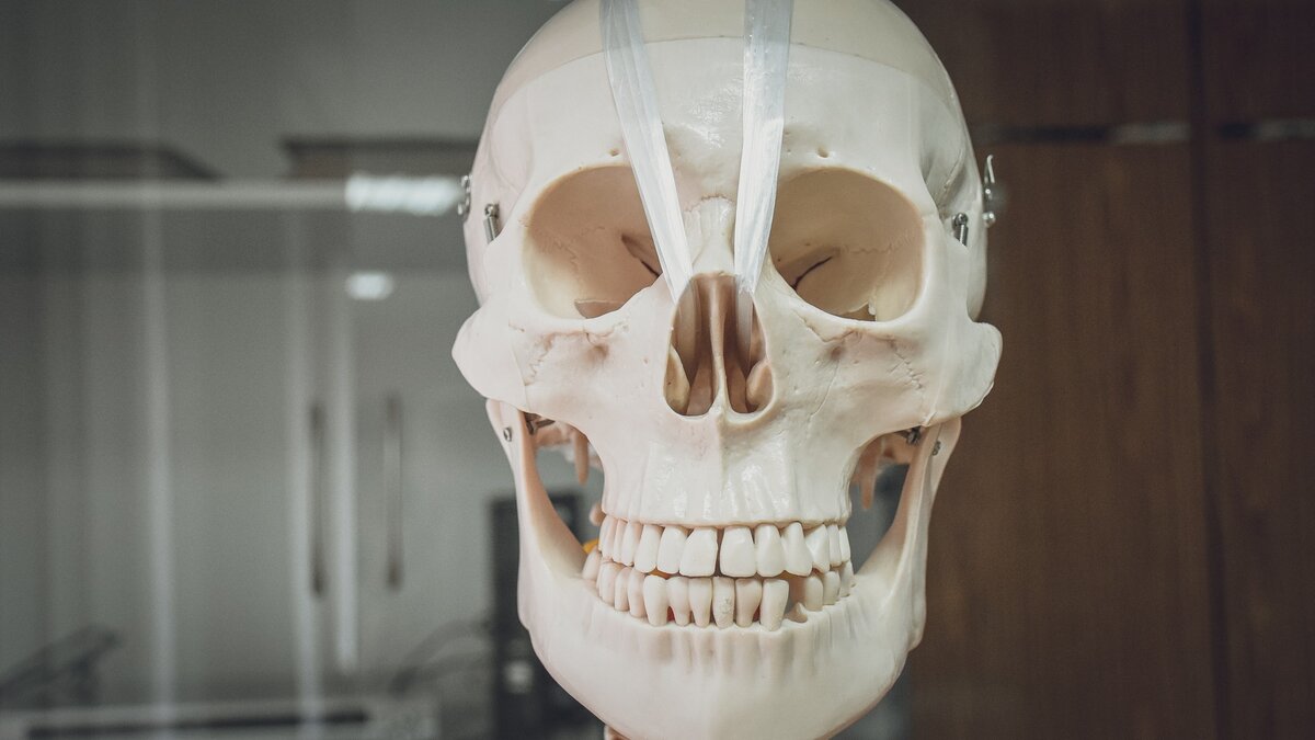     Найдены костные останки неизвестного мужчины монголоидной расы, а также его одежда, обувь, аксессуары и монеты времен СССР; следователи ищут людей, которые могли бы помочь установить личность погибшего.