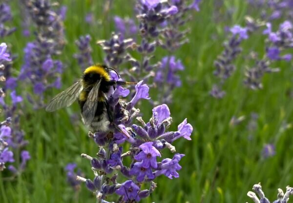    Фото: Светлана Лобова. UG.RU
