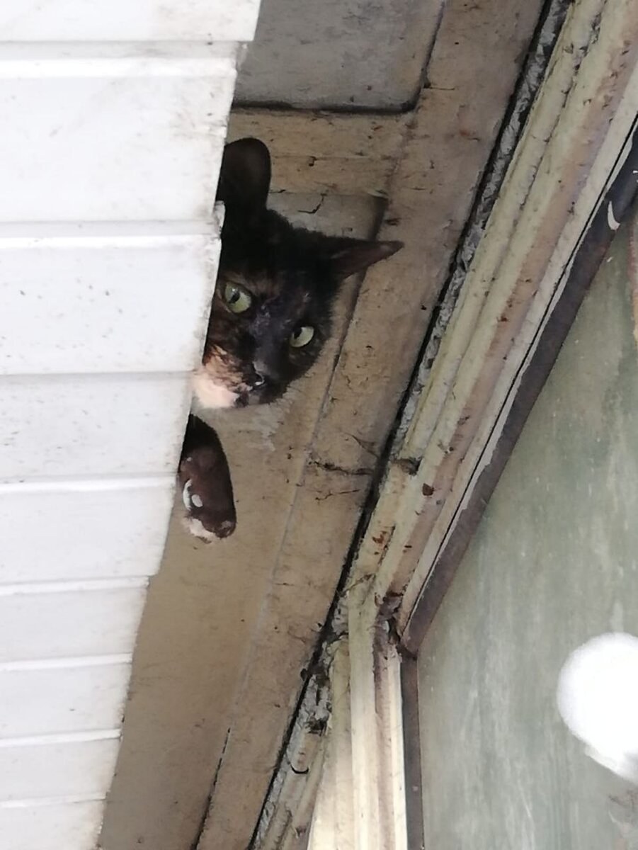 Так жить не должен никто!