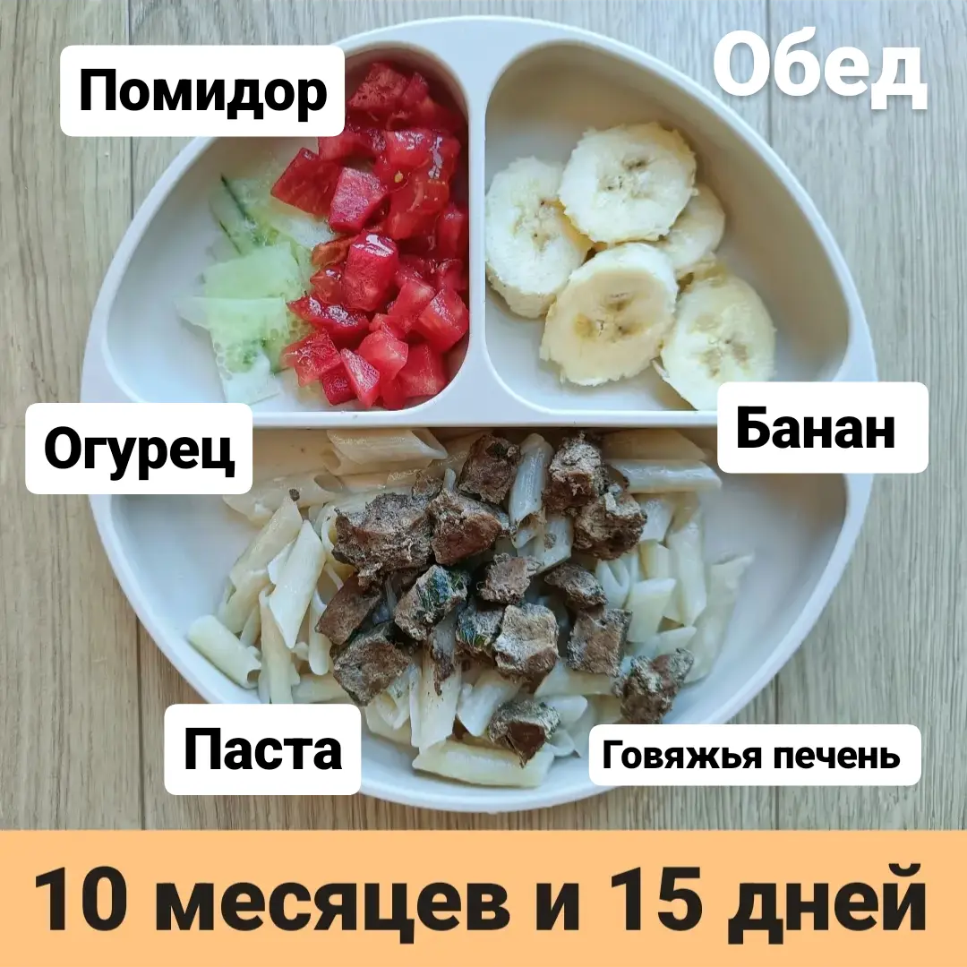 Пример тарелки в 10 месяцев 
