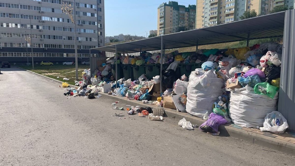 Волгоград утопает в мусоре | НовостиВолгограда.ру | Дзен