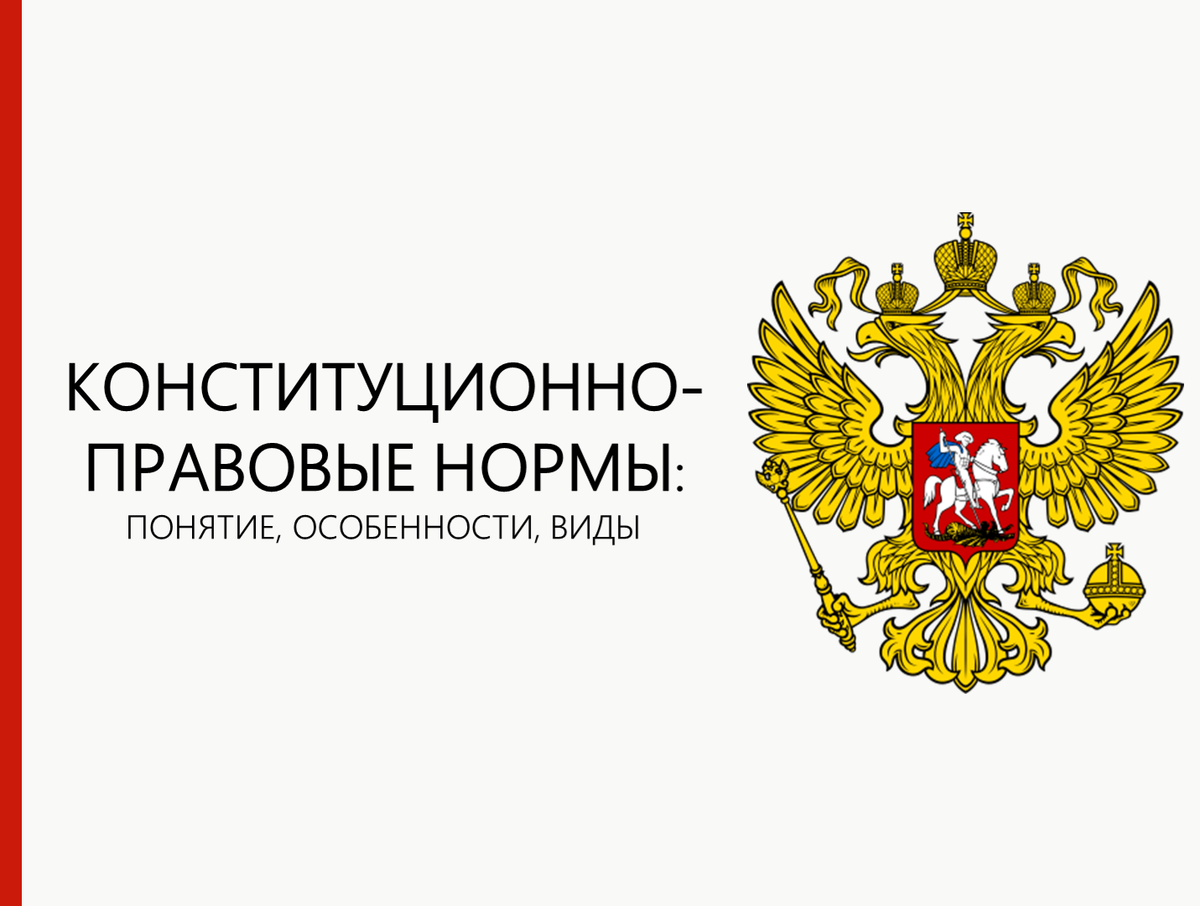 Конституционно-правовые нормы: понятие, особенности, виды | Государство и  право | Дзен