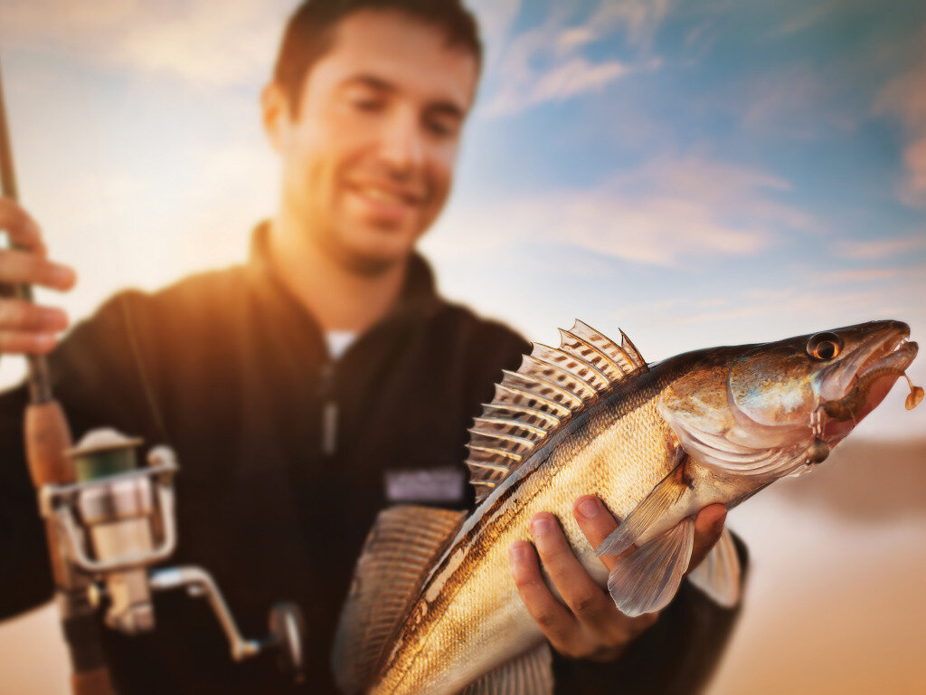 Хищная особь летом.