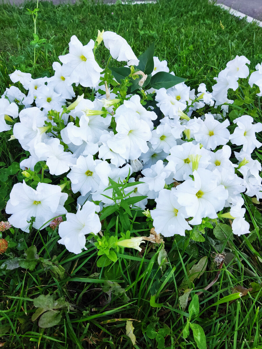 Личное фото