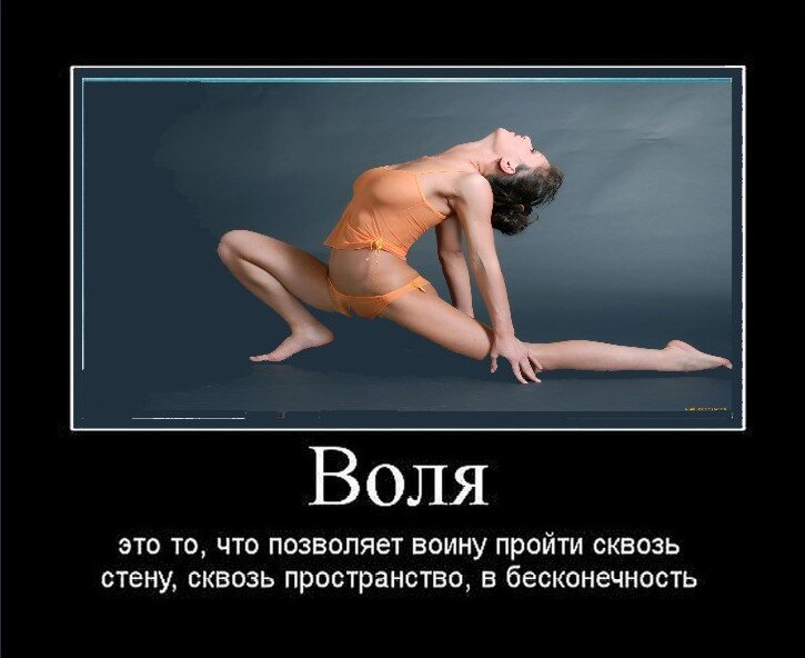 ИНЕТ: общедоступное изображение