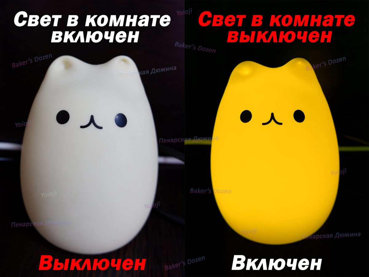 Фото от 16,08,2023