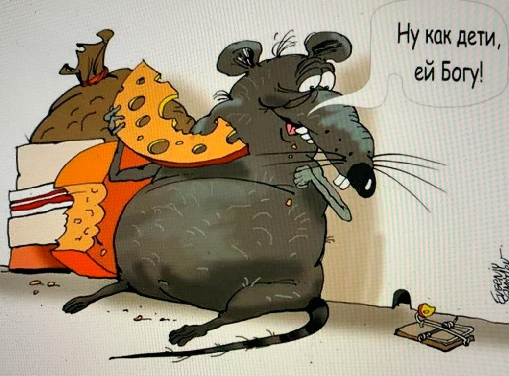 Анекдоты мышей. Мышь карикатура. Карикатуры смешные. Крыса карикатура. Мышка юмор.