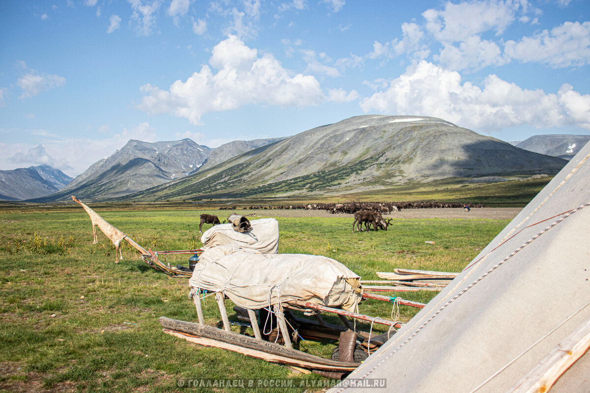 В гостях у оленеводов на Ямале. Фото: из личного архива