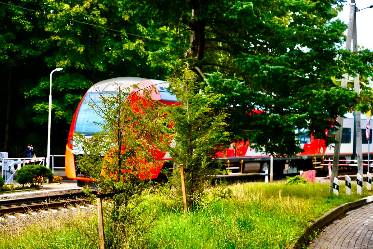 Электропоезд (Светлогорск-2). 