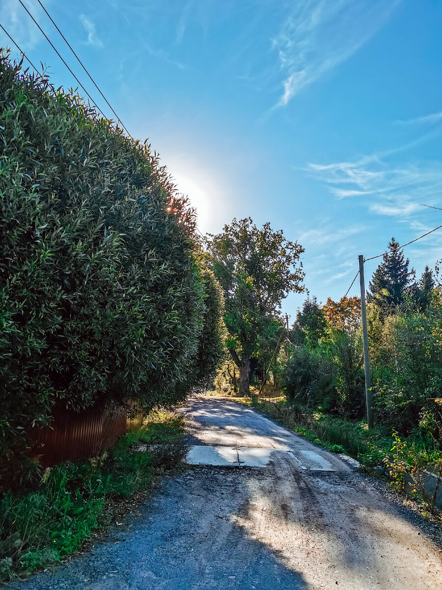 Утро в посёлке 