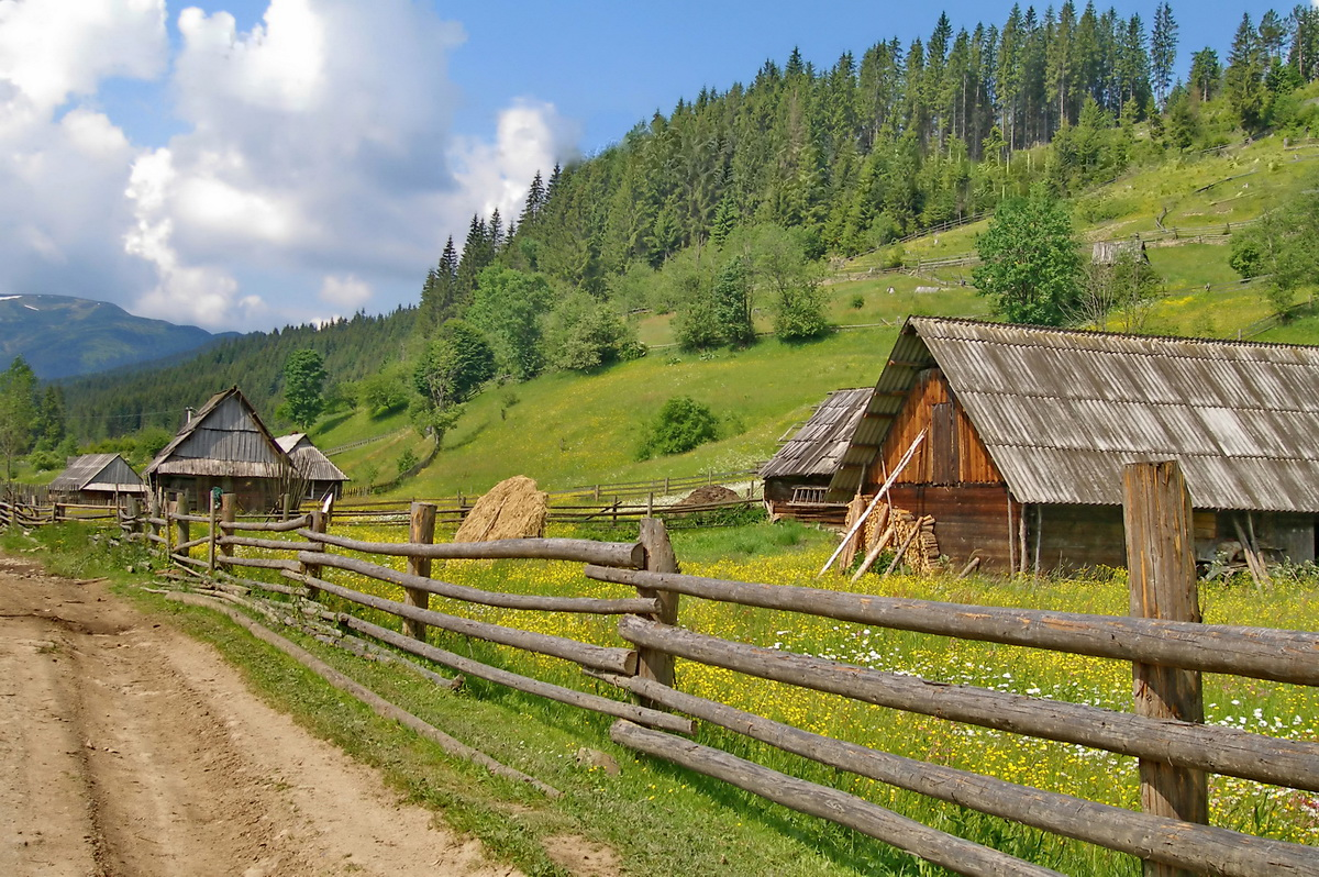 Сельское население. Карпаты экопоселение. В селе. Сельская местность. Пейзаж сельской местности.