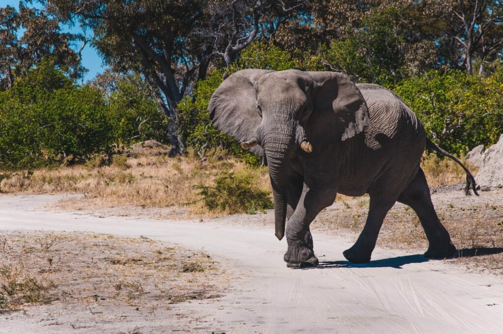 Визовые вопросы