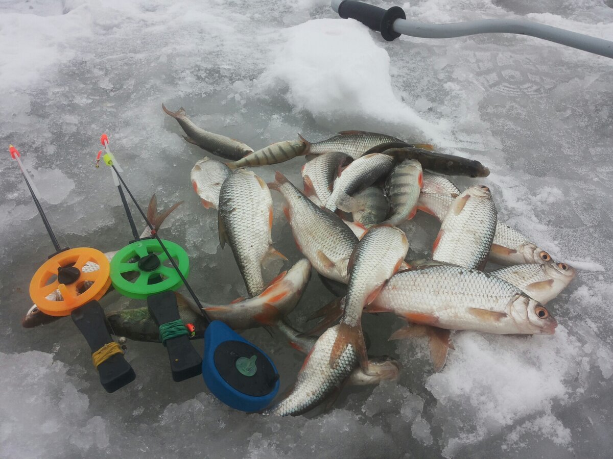 Winter Fishing in Nyagan photos and Reviews