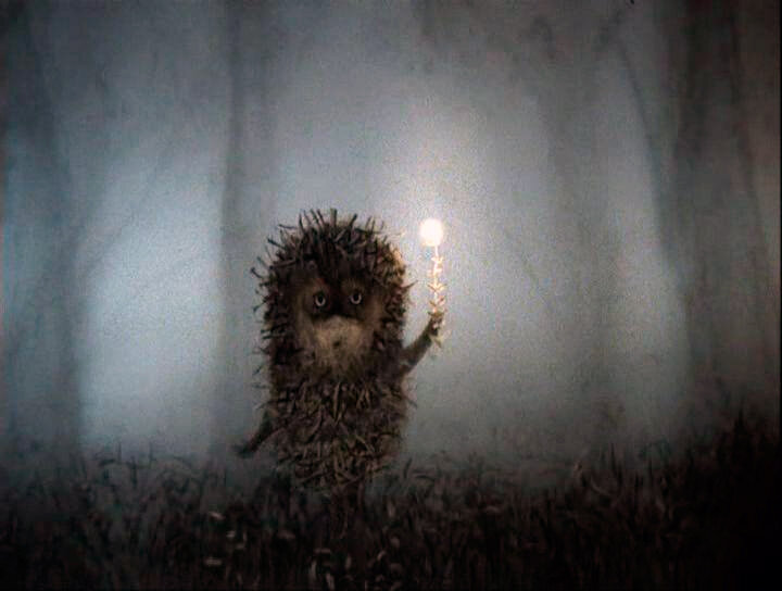 Ежик освещает себе путь горящей веточкой можжевельника.
