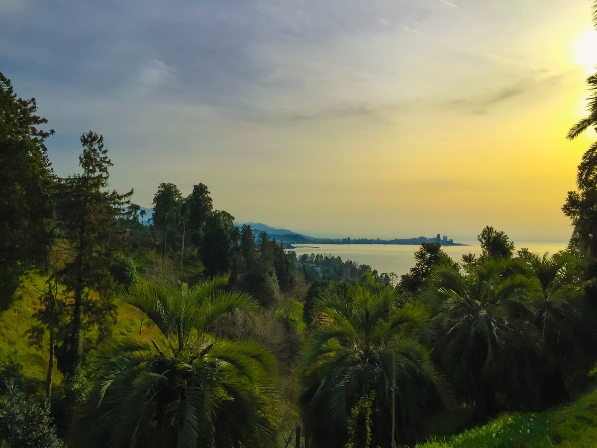 Вид на Батуми с ботанического сада