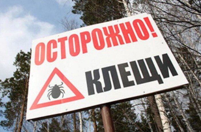 Скоро во всех лесах и парках