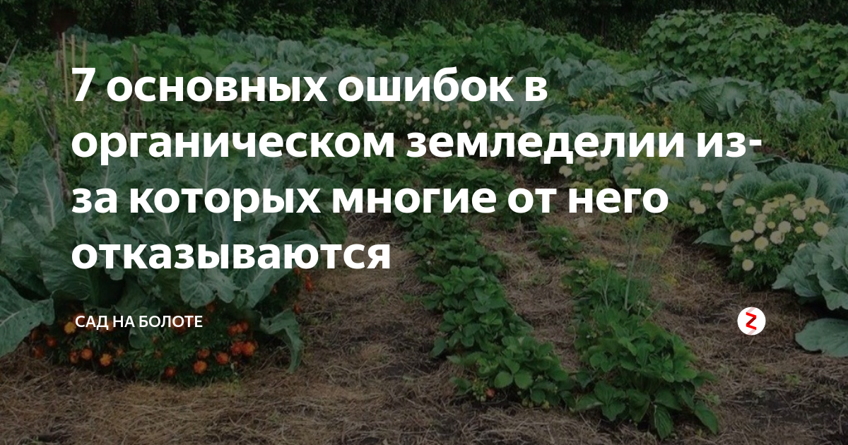 Суть природного земледелия. Органическое земледелие на даче с нуля. Плюсы органического земледелия. Природное земледелие на Урале.