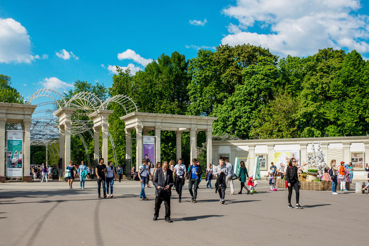 Парк Сокольники. Сокольники Москва. Всепогорка в Сокольниках.