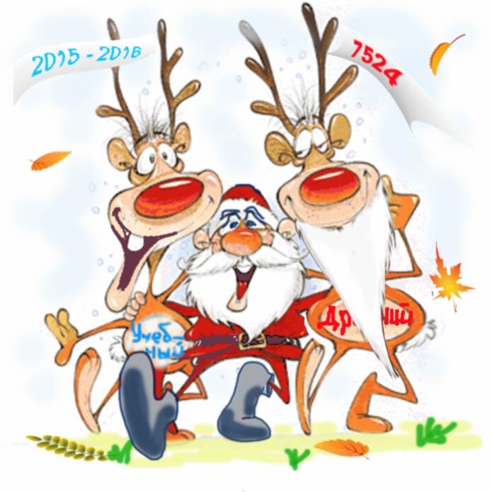 201820197527