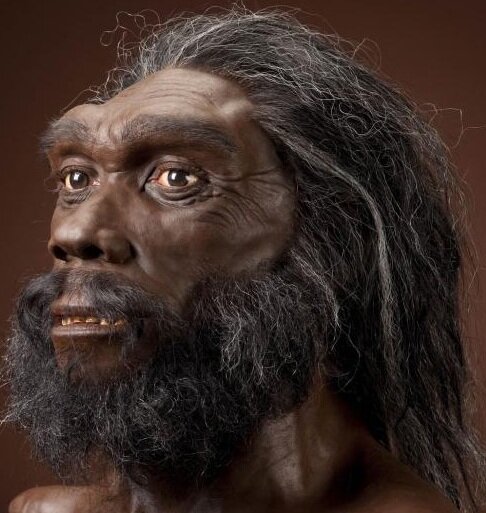 Homo heidelbergensis. Современная реконструкция