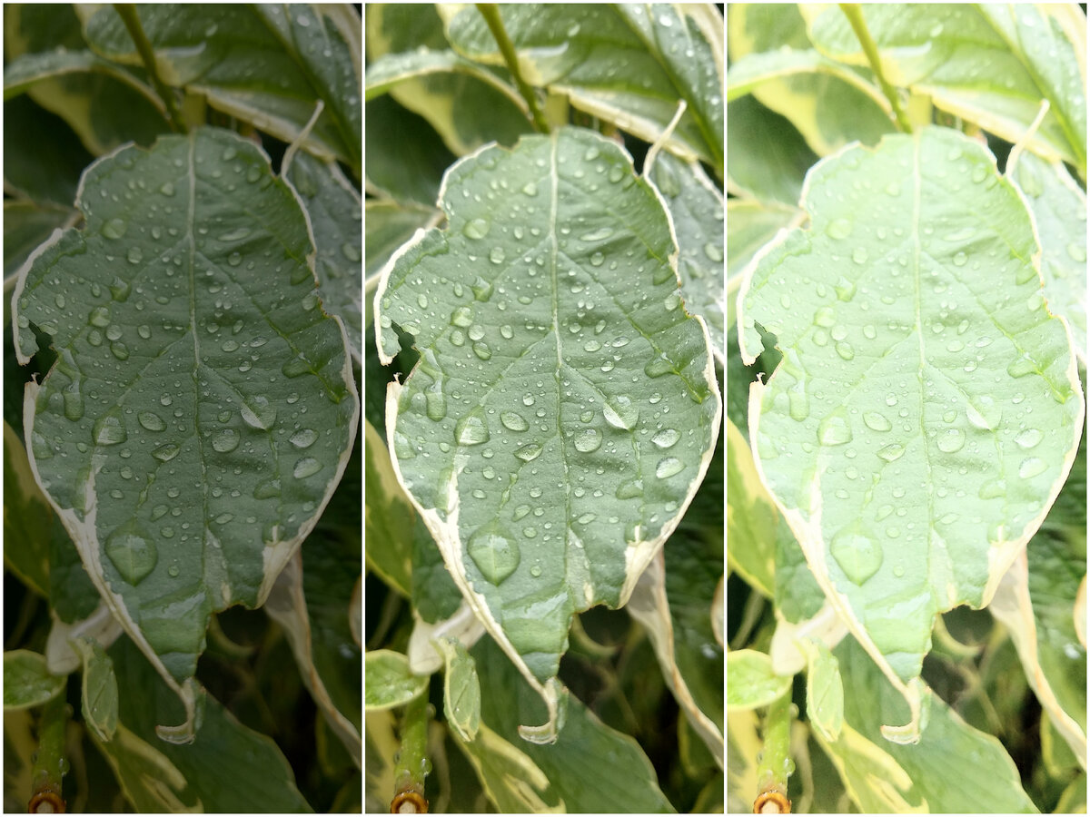 1. Недоэкспонированный снимок;  2. Правильная экспозиция; 3. Пересвеченный снимок.