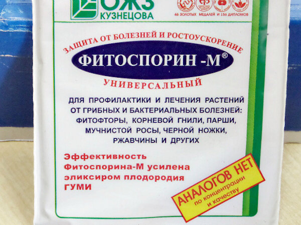 Чем обработать почву весной от грибковых заболеваний? - ответы экспертов belim-krasim.ru