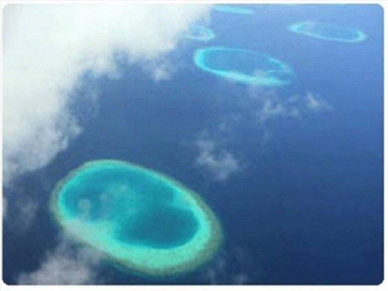                                                                                                                                                Фото с сайта dictat.net