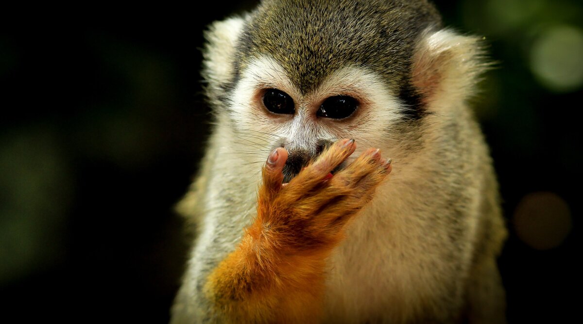 Источник фото: unsplash.com