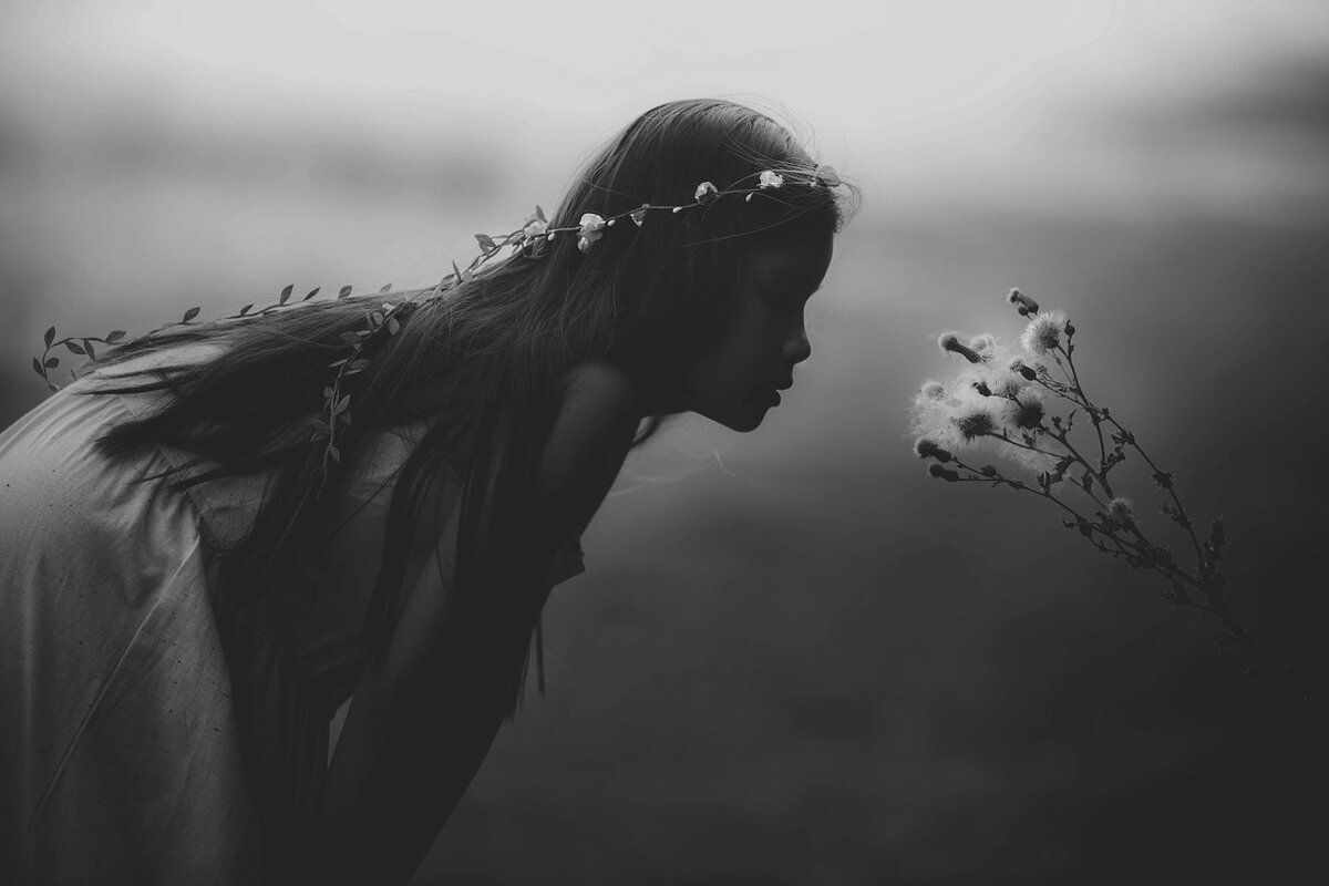 Изображение взято с сайта pixabay.com
