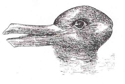Кун предлагал оптическую иллюзию «заяц—утка» в качестве примера того, как смена парадигмы может вынудить рассматривать одну и ту же информацию совершенно иным образом. Источник изображения:
