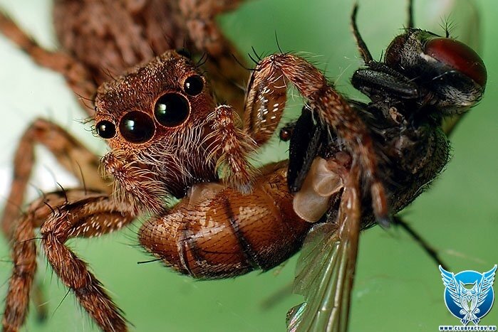 бессмертный полк приднестровье. василий лановой бессмертный полк. путин бессмертный полк 2022. путин в бессмертном полку с лановы. акция бессмертный полк в москве.