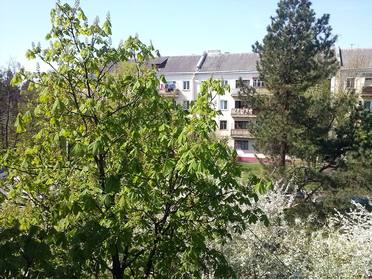 Фото из личного архива