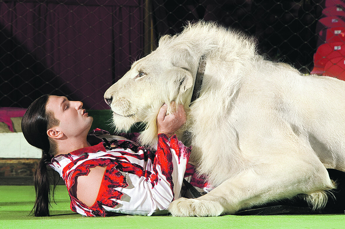 Фото: souzveche.ru