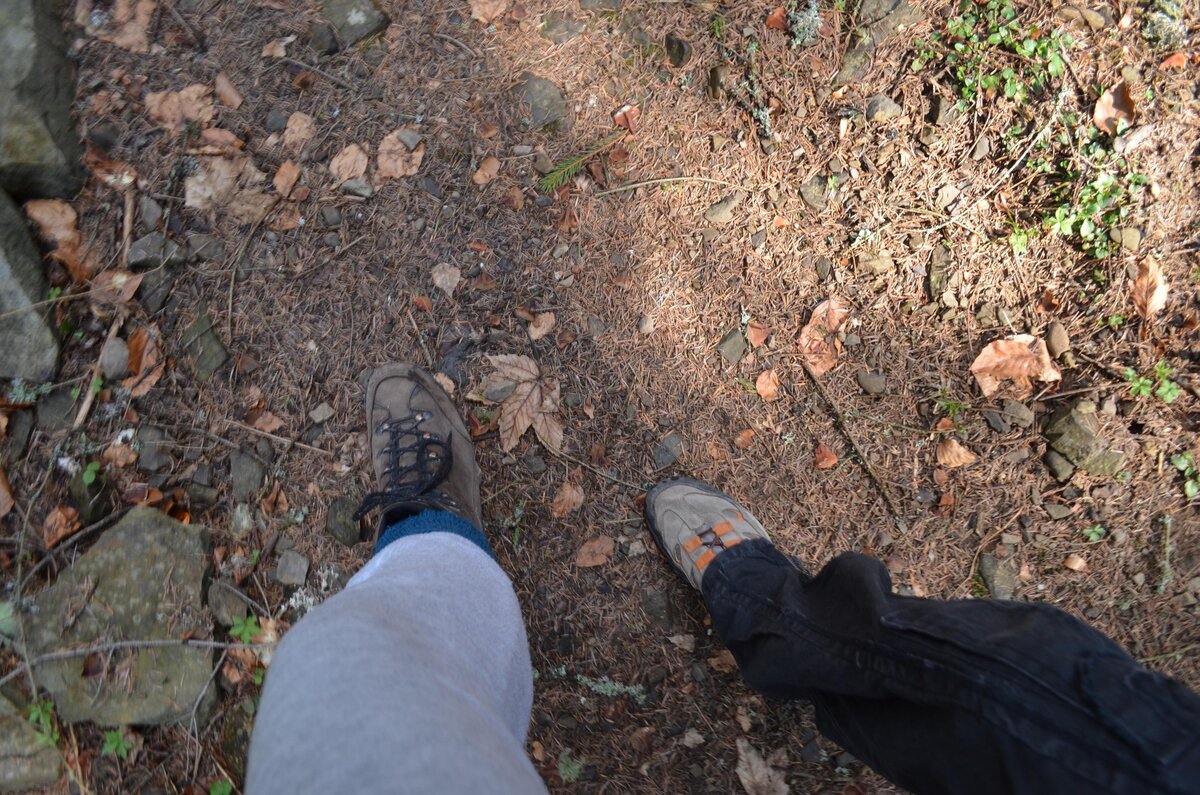 Первый шаг на тропу, ничего не предвещает беды