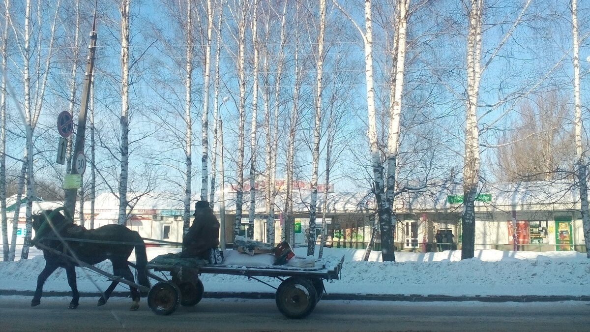 автор фото Александр Г.