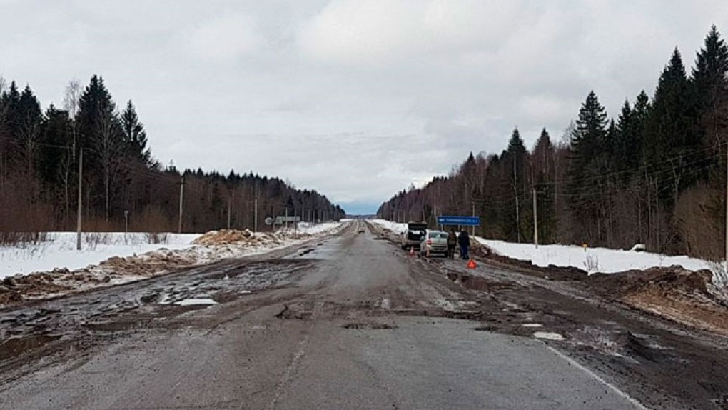  Фото: УМВД по Вологодской области