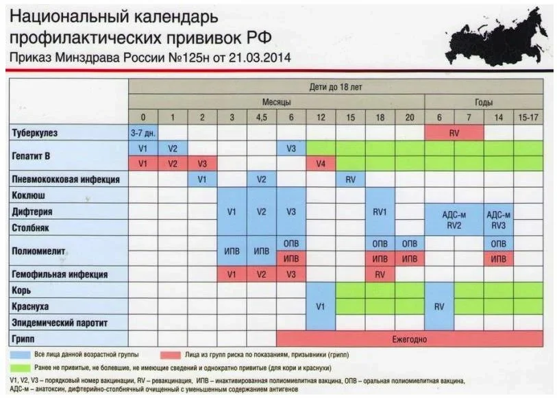 Календарь прививок 2023 детям