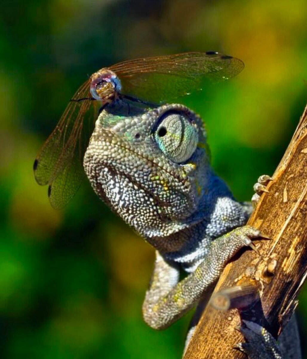 Изображение взято с сайта yandex.ru