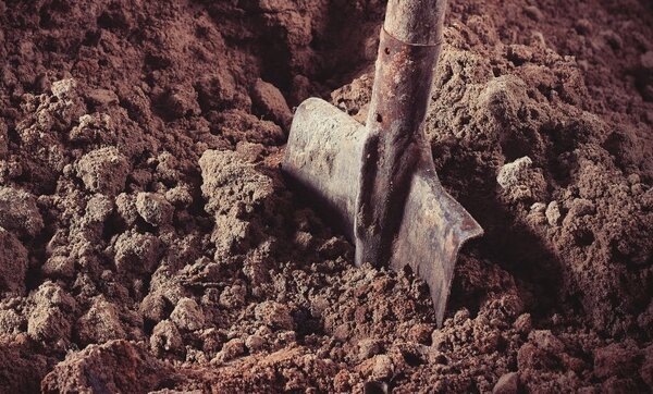 Улучшаем глинистую почву без каких либо затрат